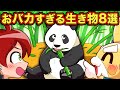 おバカすぎる生き物8選 アニメ マンガ おバカすぎる生き物8選 アニメ マンガ