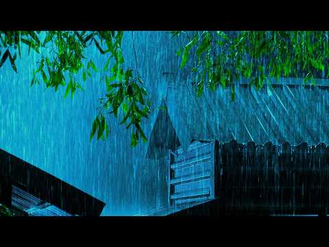 Heavy Rain & Thunder For Deep Sleep 🌧️ Fall Asleep Fast And Stay Asleep All Night Long