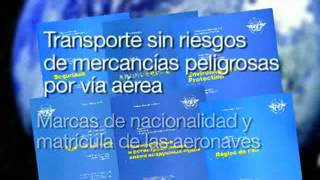 OACI - Oficina Sudamericana.wmv