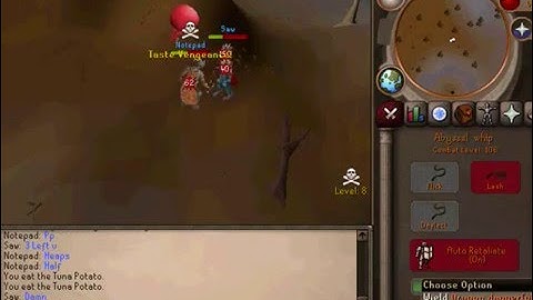 Oraclescape RSPS #1 Zerker. Notepad 3