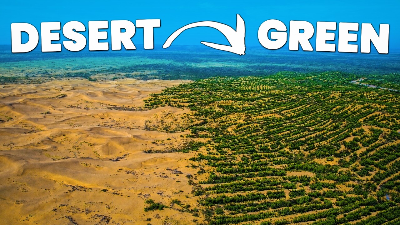 How China is Turning Deserts Green (and Why It's Going Wrong)