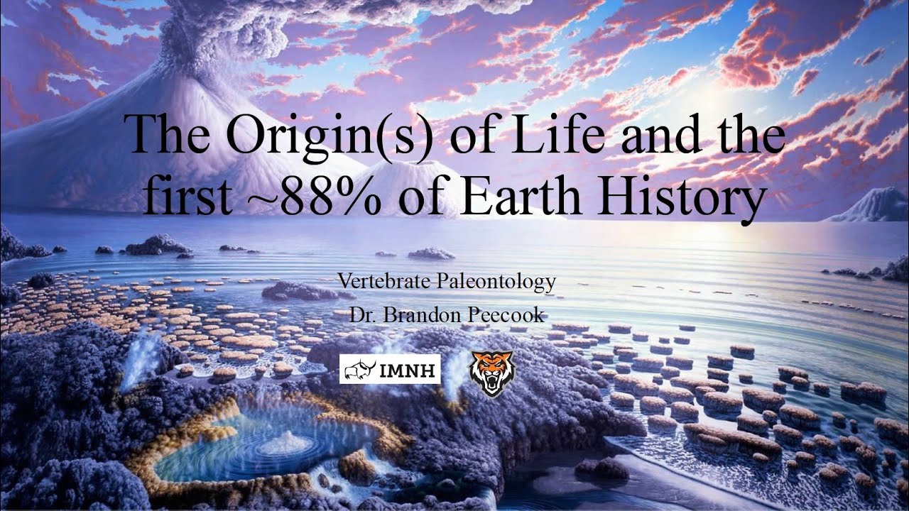 Lecture 4: The Origin(s) of Life and the First 88% of Earth History ...