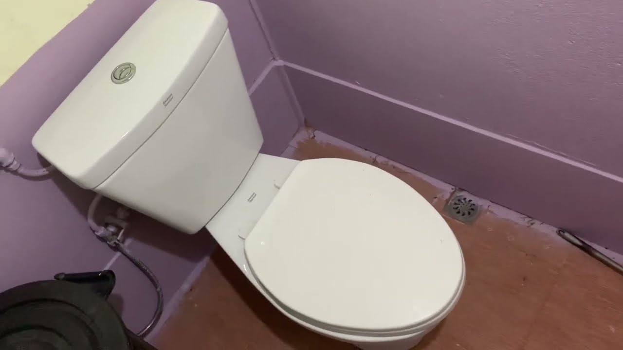 2019 American Standard New Seva toilet YouTube