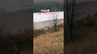 #скоро зимняя рыбалка