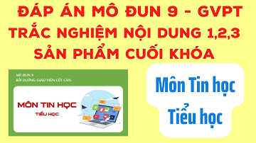 Đáp án mô đun 9 môn Tin học tiểu học đầy đủ nhất | Kèm sản phẩm nộp cuối khóa