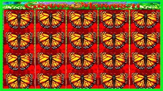 ★★JACKPOT HANDPAY★★$500 BETS★★GRAND MONARCH HIGH LIMIT SLOT MACHINE BUENO DINERO MUSEUM SLOTS IGT
