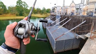 Fishing For GIANT Bass In URBAN Ponds! (Bank Fishing)