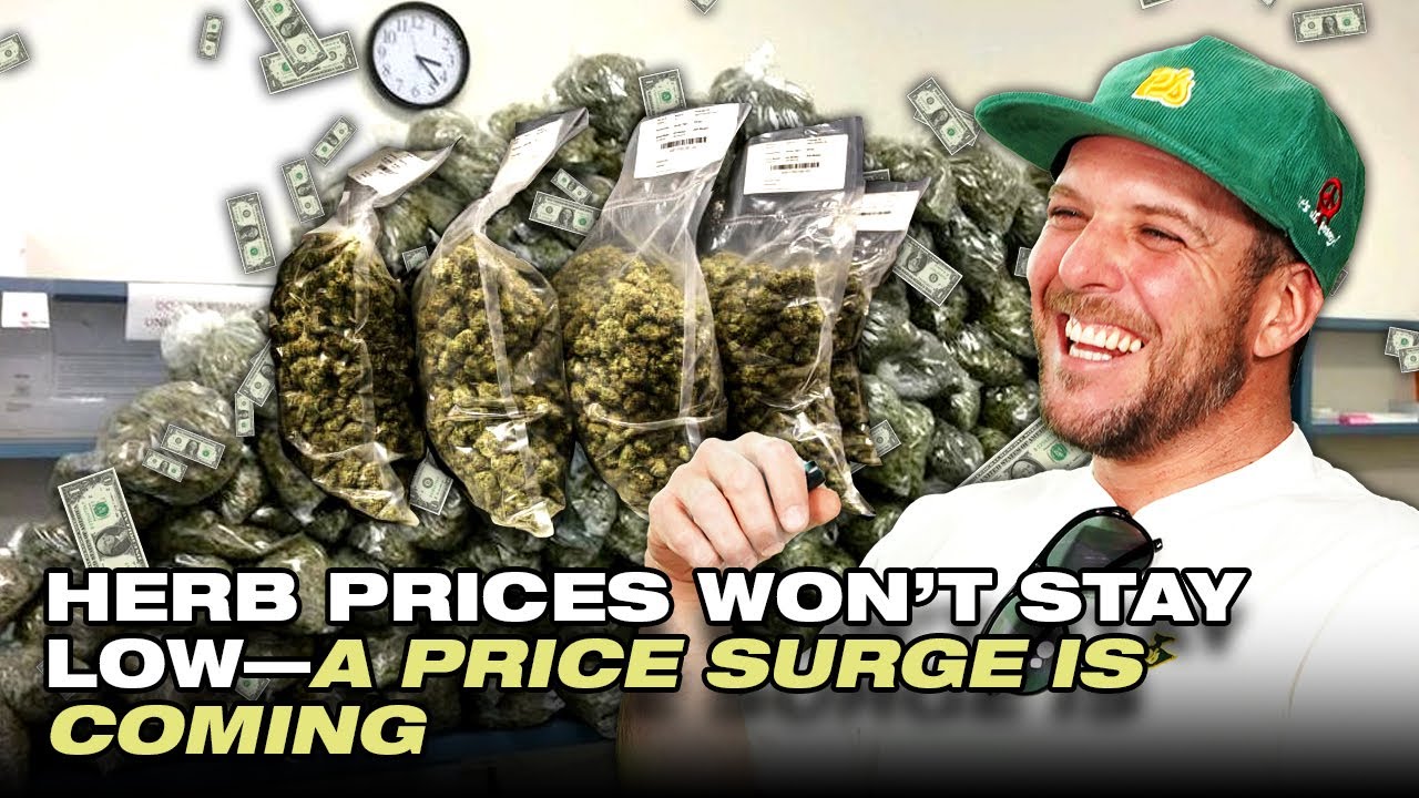 No Ones Talking About Weed Prices Going Up - 3rd Gen Family