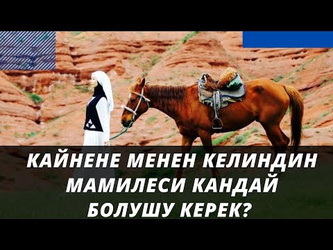 Video: Келиндин кунун кантип уюштурса болот