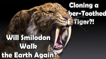 Smilodon Resurrection | How Close Are We to Cloning a Saber-Toothed Tiger