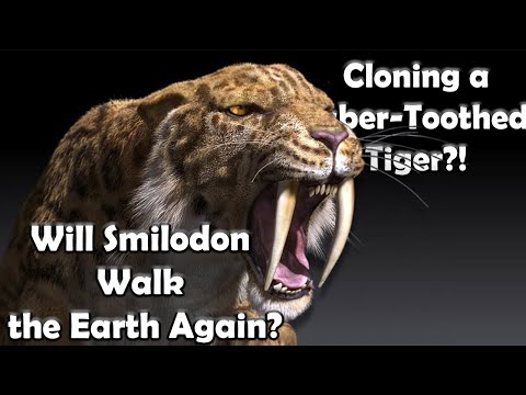 Smilodon Resurrection |