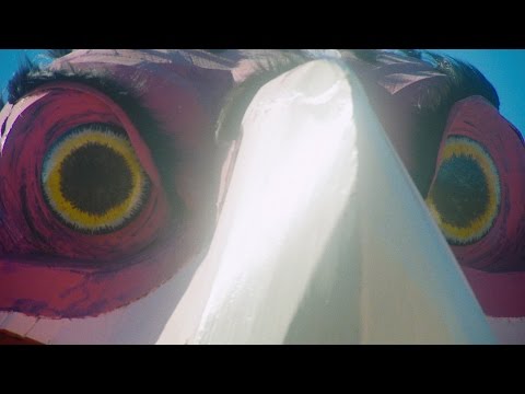 King Gizzard & The Lizard Wizard - People-Vultures (Official Video)