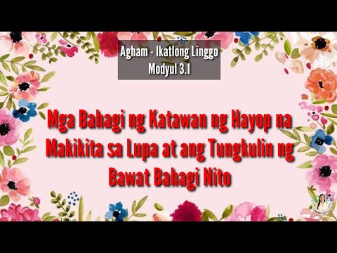 Video: Ang Kahalagahan Ng Staging Para Sa Mga Alagang Hayop Na May Kanser, Bahagi 3 - Pagsubok Sa Ihi At Fecal Para Sa Mga Alagang Hayop Na May Kanser