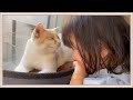 【感動】生まれたときから猫と育った子供はこんな行動をとるようになります
