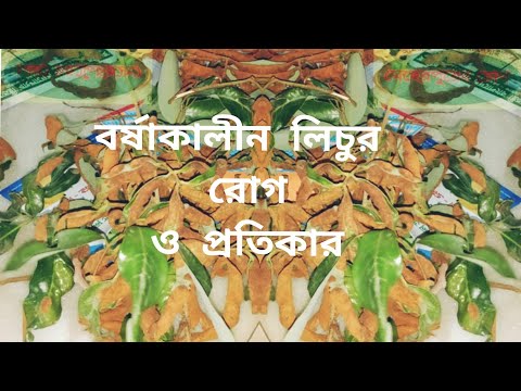 ভিডিও: বাড়িতে চারা গজানো। পার্ট 5