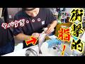 釣れたイサキのお腹の脂が過去一番凄かった・・・