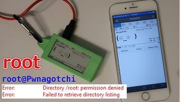 Pwnagotchi enable root access via SSH and SFTP permission denied / Config