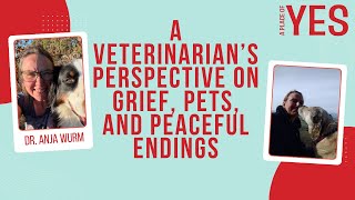 A Veterinarian’s Perspective on Grief, Pets, and Peaceful Endings