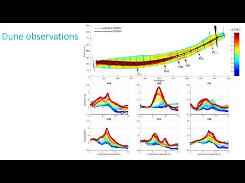 Video: ¿Por qué es importante foredune?