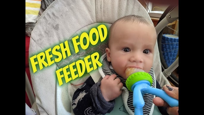 How to Clean a Fresh Food Feeder