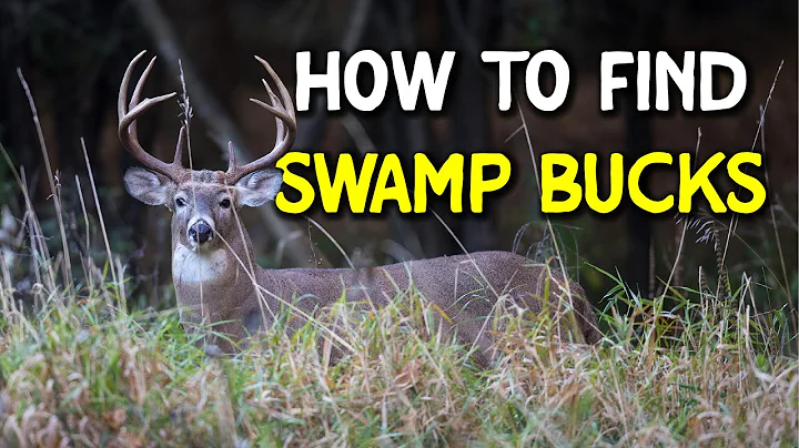 How to find deer in swamps - TWO methods!