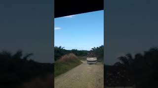 Skil Drive Mudah Fgvpm