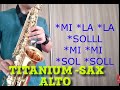 Titanium - David Guetta - SAX ALTO TUTORIAL  tocando SEM PARTITURA (playback no minuto 01:10)