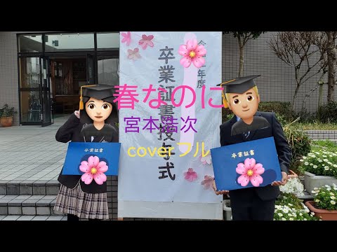春なのに／中島みゆき。柏原芳恵。宮本浩次coverフル