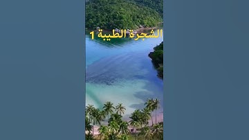 سورة إبراهيم الآية : ( 25-27 ) تلاوة الأخ أبوا يحيى هدوم