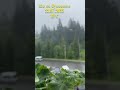 Ти квітка / Погода в Буковелі сьогодні / Bukovel weather today #subscribe #morningmusic #nature