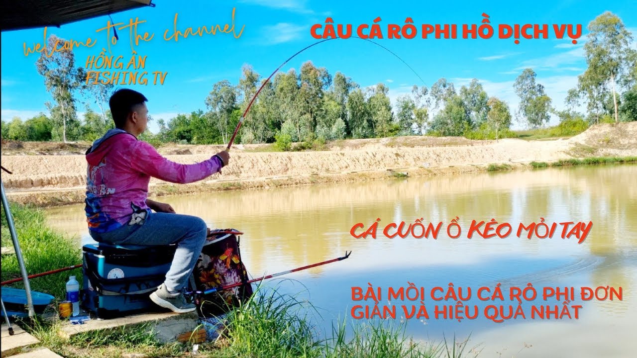 Câu cá Rô phi hồ Dịch vụ - Bài mồi và kinh nghiệm câu cá rô Phi hồ Dịch ...