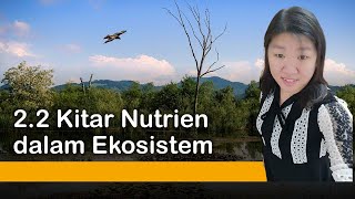 [Sains T2] Bab 2.2 Kitar Nutrien dalam Ekosistem  #KSSM #PT3