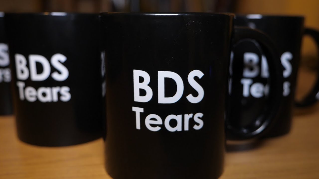 The PERFECT Hanukkah Gift! BDS Tears Mug/Nice Jewish Boy Mug by 2NJB