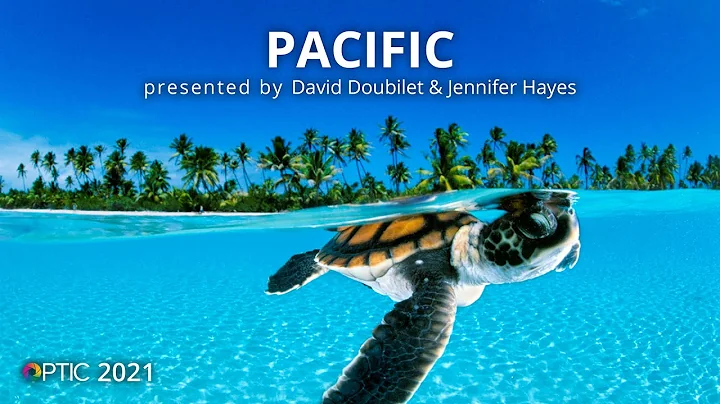 PACIFIC! with David Doubilet & Jennifer Hayes | OP...