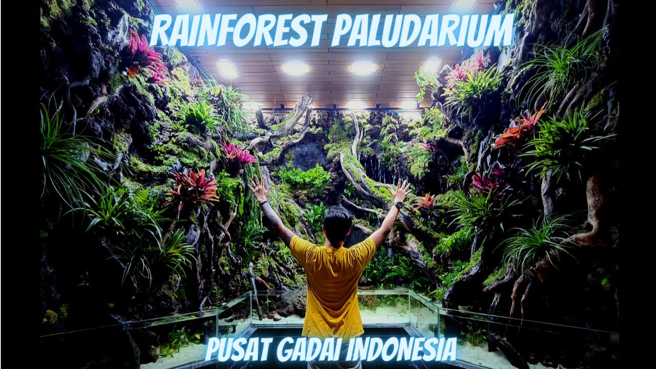 TRAILER VIDEO PALUDARIUM " THE NEW WORLD "