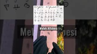 Tiktok Alfabe Inş Tutar