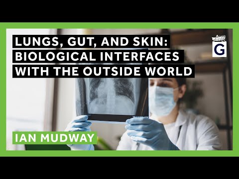 Lungs, Gut, and Skin: Biological Interfaces with the Outside World thumbnail