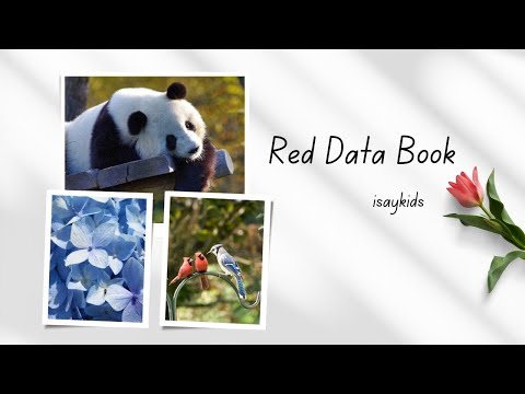 Vídeo: Animais listados no Livro Vermelho. Bison: Livro Vermelho de Dados da Rússia