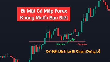 Tại Sao Lệnh Giao Dịch Của Trader Luôn Bị StopLoss| Cá Mập Forex
