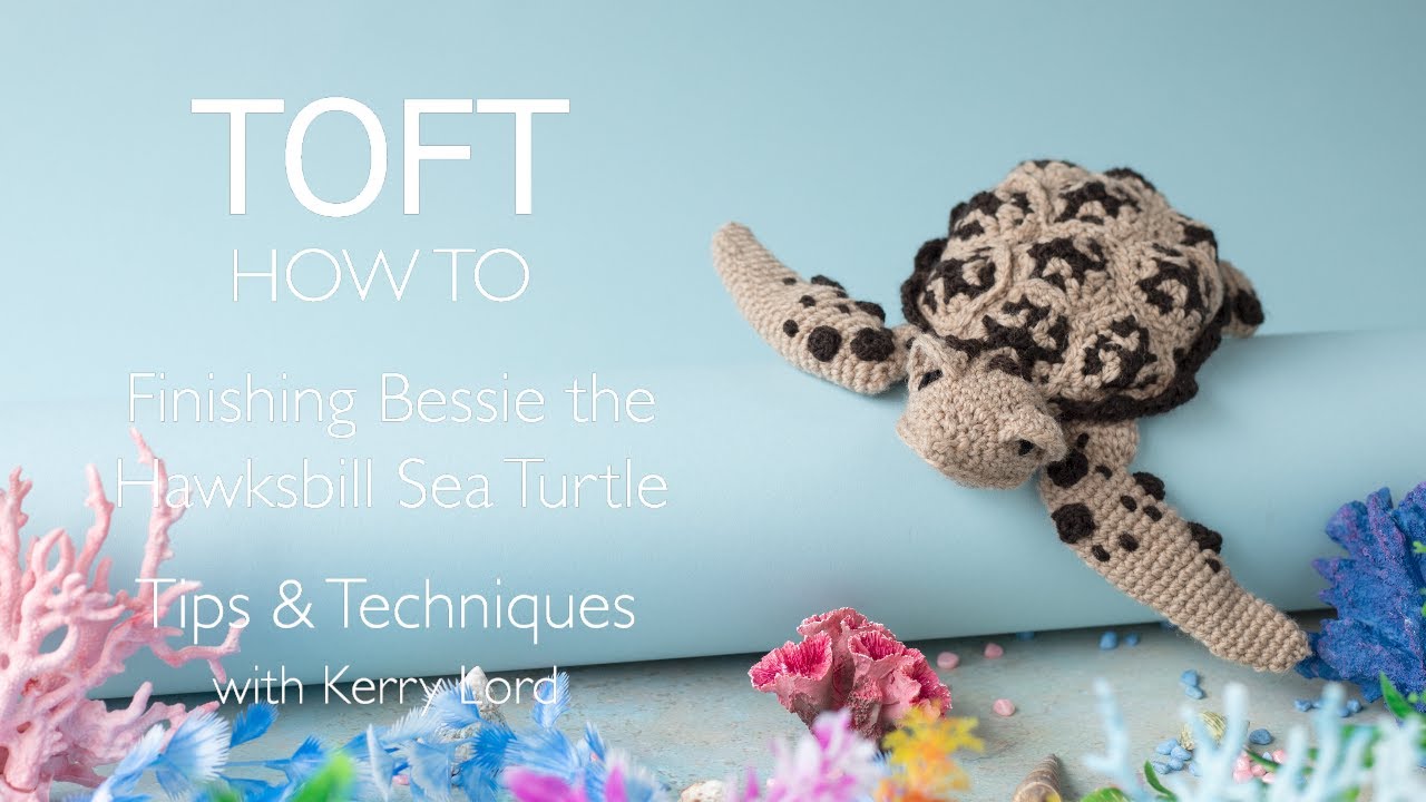 Finishing Bessie the Hawksbill Sea Turtle - YouTube