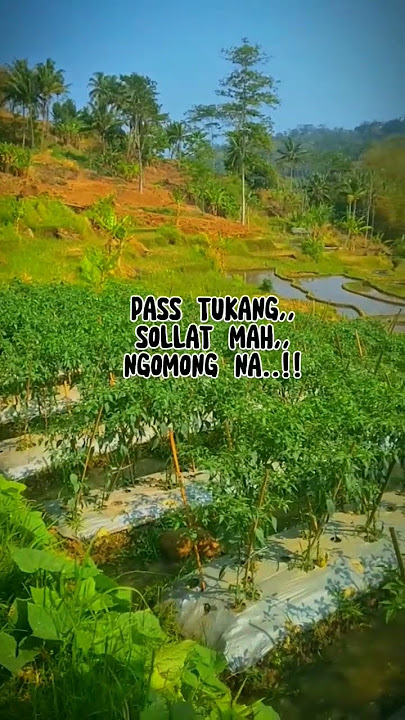 pepeling kang cepot #papatahsunda #motivasi #asepsunandarsunarya #pesawahan #kangcepot