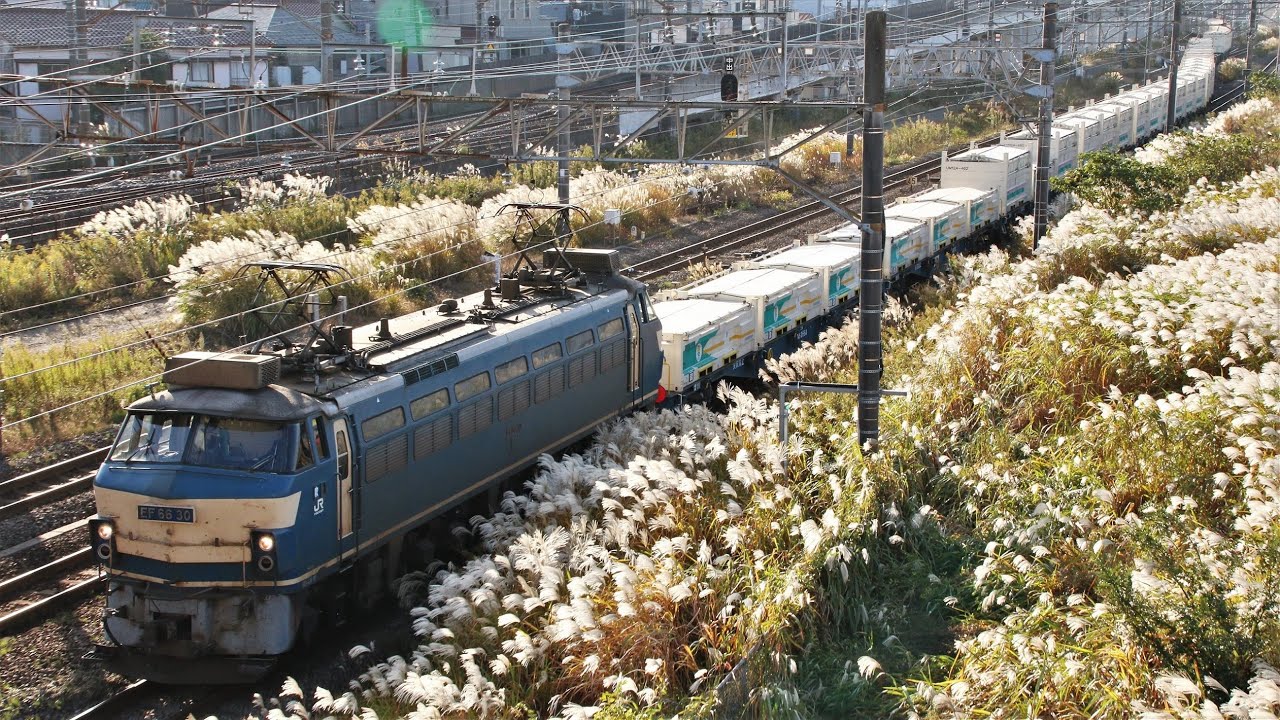 Jr貨物 Ef66 30牽引 153レ Jr尻手短絡線 品鶴線 尻手 新鶴見信号場 区間 Youtube Jr貨物 Ef66 30牽引 153レ Jr尻手短絡線 品鶴線 尻手 新鶴見信号場 区間 Youtube