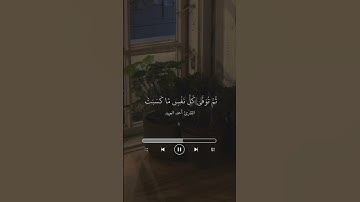 القارئ أحمد العبيد .