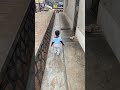 Kssjjdvxvzvzv S Ssn Kssjjdvxvzvzv S Ssn