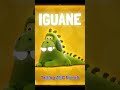 Talking ABC French Animals Alphabet And Phonic 