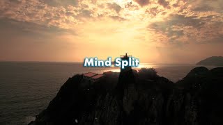 Leo Alexander Mind Split Official Lyric Video