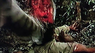 Cut and Run clip 5