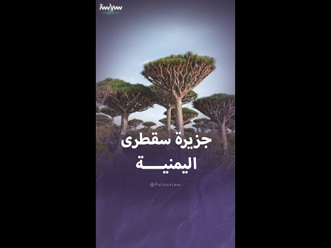 أسرار جزيرة سقطرى الغامضة في اليمن