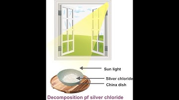 Activity 1.8 Class 10 Science NCERT