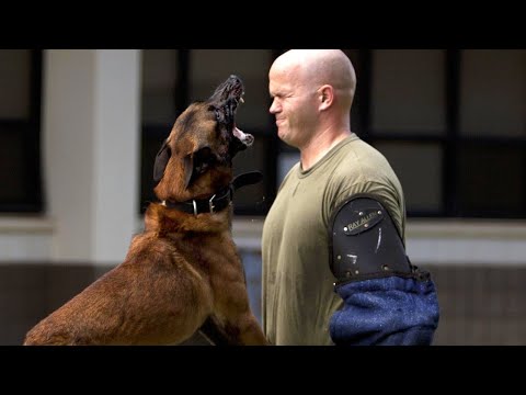 Video: Efectos secundarios de la vacuna de Bordetella